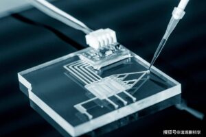 Kêu Gọi Đầu Tư Và Phát Triển Bền Vững Trong Ngành Công Nghiệp Chip Trung Quốc